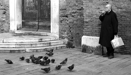 Venice, Man and his Pigeons