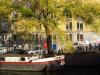 Amsterdam Canal, Tree